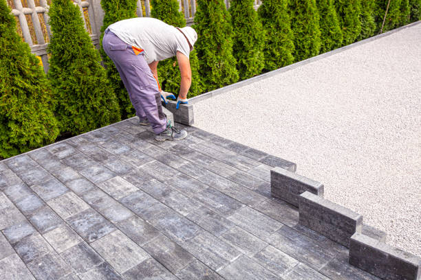 Best Professional Driveway Pavers  in Demorest, GA