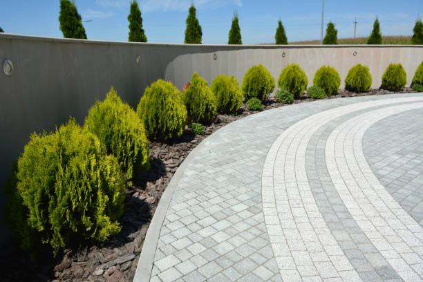 Best Custom Driveway Pavers  in Demorest, GA